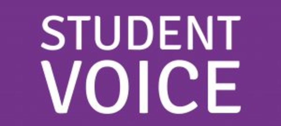 Student voice large 300x135